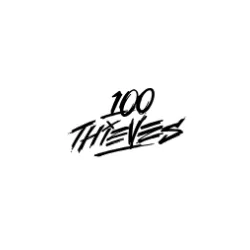 100 Thieves